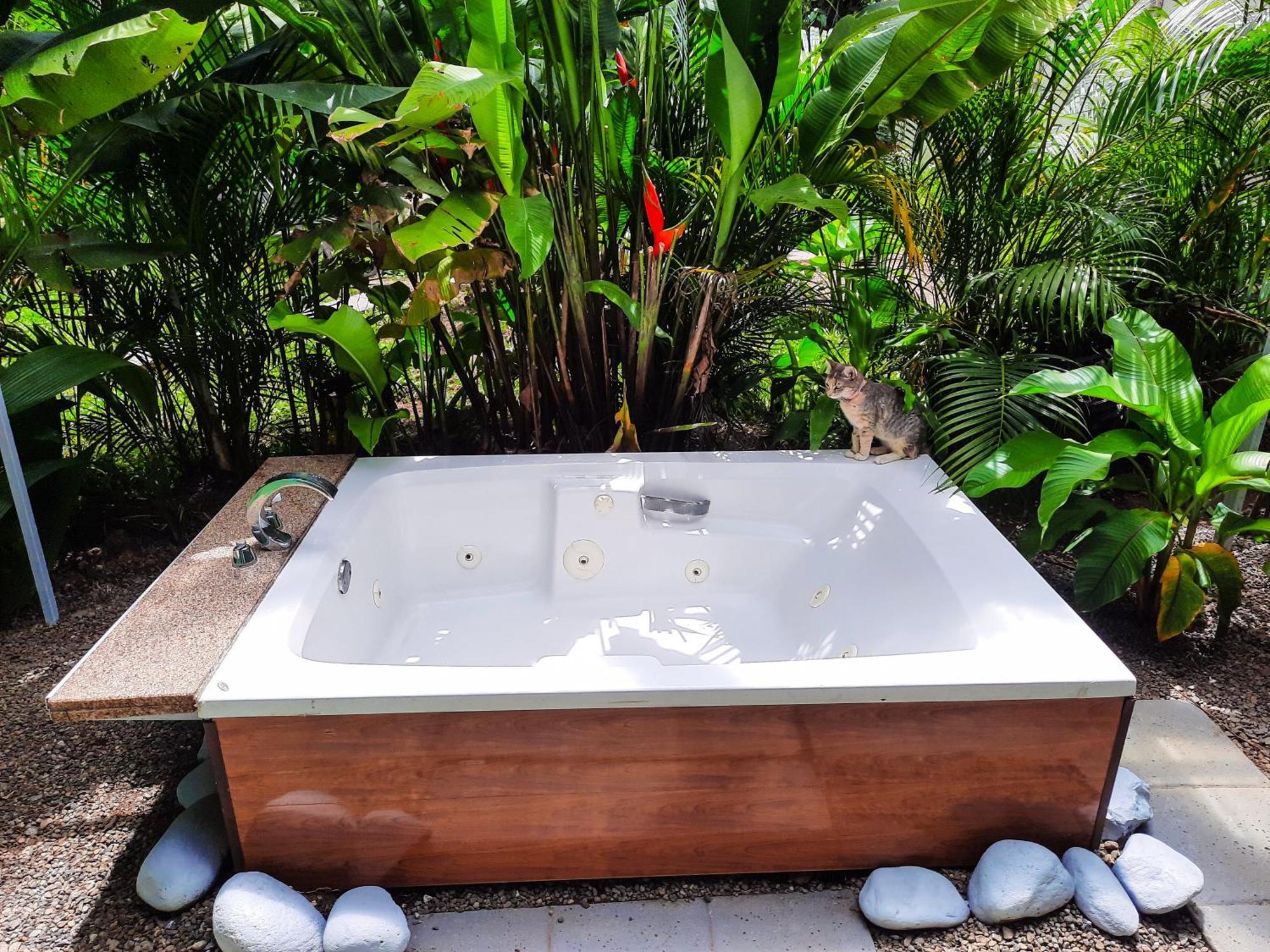 Oktara Rooms La Fortuna Rum bild
